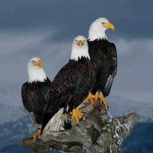 Meet your Posher, Paul n cindy